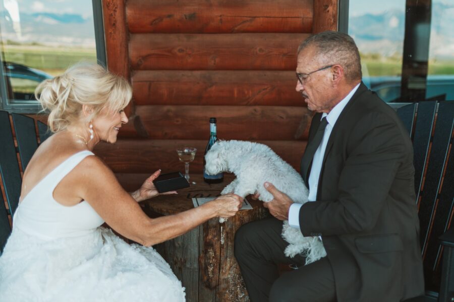 Wedding couple sharing a moment with their small white dog at a rustic wooden table, with drinks and a scenic backdrop of mountains visible through the window.